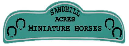 SandHill Acres Miniature Horses