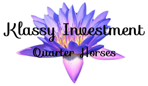 Klassy Investment Qtr Horses