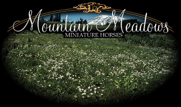 Mountain Meadows Miniatures