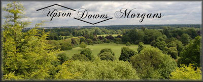 Upsom Downs Morgans