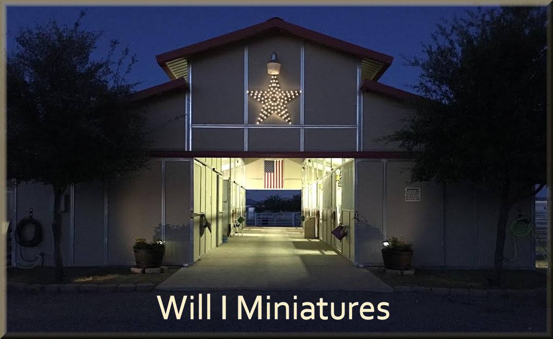 Will I Miniatures